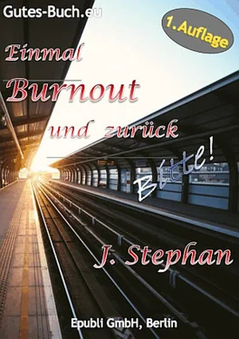 J. Stephan Einmal Burnout und zurück Bitte! обложка книги