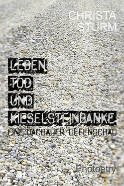 Christa Sturm Leben, Tod und Kieselsteinbänke. обложка книги
