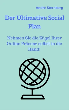 André Sternberg Der Ultimative Social Plan обложка книги