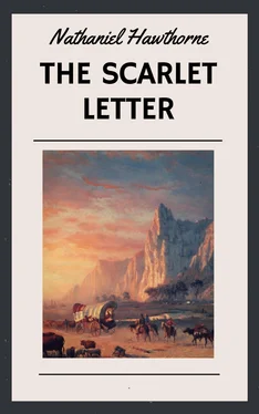 Nathaniel Hawthorne Nathaniel Hawthorne: The Scarlet Letter (English Edition) обложка книги