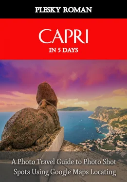 Roman Plesky Capri in 5 Days обложка книги