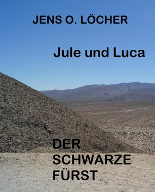 Jens O. Löcher Jule und Luca - Der Schwarze Fürst обложка книги