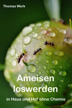 Thomas Werk Ameisen loswerden обложка книги