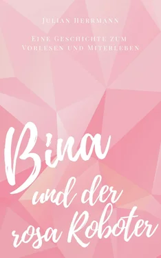 Julian Herrmann Bina und der rosa Roboter обложка книги