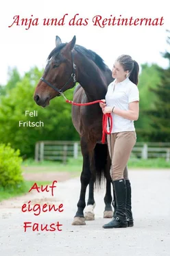 Feli Fritsch Anja und das Reitinternat - Auf eigene Faust обложка книги