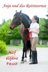 Feli Fritsch - Anja und das Reitinternat - Auf eigene Faust