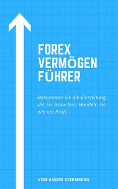 André Sternberg Forex Vermögen Führer обложка книги