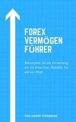 André Sternberg - Forex Vermögen Führer