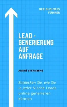 André Sternberg Lead - Generierung auf Anfrage обложка книги