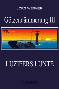Jörg Werner Götzendämmerung III обложка книги