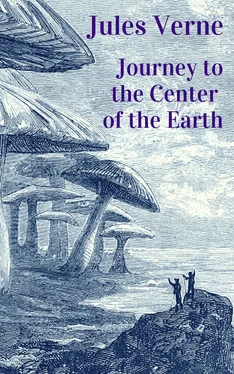 Jules Verne Jules Verne - Journey to the Center of the Earth обложка книги