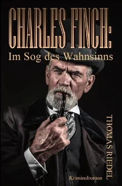 Thomas Riedel Charles Finch: Im Sog des Wahnsinns обложка книги