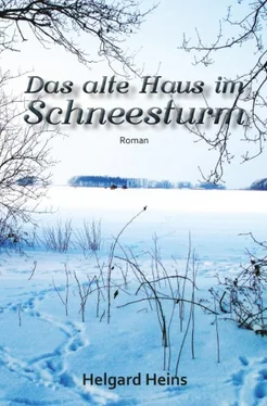 Helgard Heins Das alte Haus im Schneesturm обложка книги
