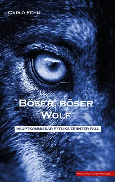 Carlo Fehn Böser, böser Wolf обложка книги