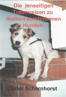 Dieter Scharnhorst Die jenseitigen Traumreisen zu meinen verstorbenen Hunden обложка книги