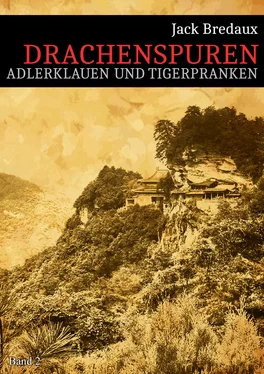 Jack Bredaux Drachenspuren обложка книги