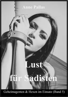 Anne Pallas Lust für Sadisten обложка книги