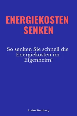 André Sternberg Energiekosten senkenEnergiekosten senken обложка книги