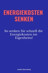 André Sternberg - Energiekosten senkenEnergiekosten senken