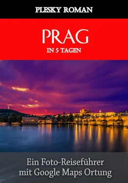 Roman Plesky Prag in 5 Tagen обложка книги