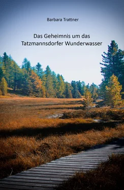 Barbara Trattner Das Geheimnis um das Tatzmannsdorfer Wunderwasser обложка книги