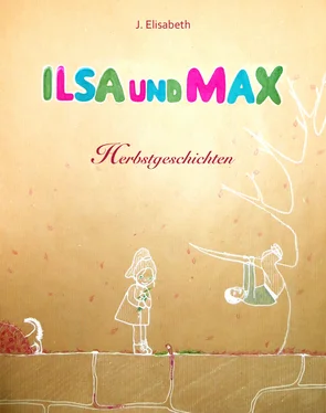 J. Elisabeth Ilsa und Max обложка книги
