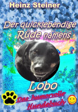 Heinz Steiner Der quicklebendige Rüde namens Lobo обложка книги
