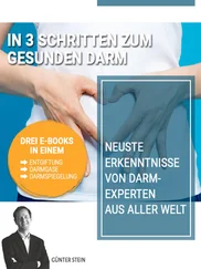 Gunter Stein - In 3 Schritten zum gesunden Darm