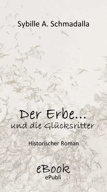 Sybille A. Schmadalla Der Erbe ...und die Glücksritter обложка книги