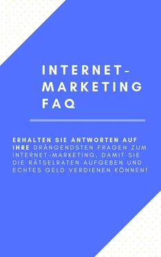 André Sternberg Internet-Marketing FAQ обложка книги