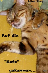 Alina Frey - Auf die Katz gekommen...