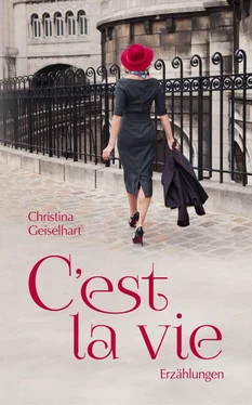 Christina Geiselhart C'est la vie обложка книги