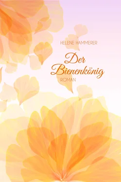 Helene Hammerer Der Bienenkönig обложка книги