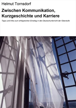 Helmut Tornsdorf Zwischen Kommunikation, Kurzgeschichte und Karriere обложка книги
