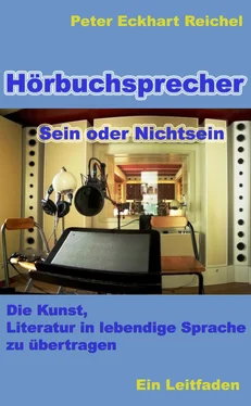 Peter Eckhart Reichel Hörbuchsprecher - Sein oder Nichtsein обложка книги