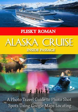 Roman Plesky Alaska Cruise Inside Passage обложка книги
