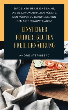 André Sternberg Einsteiger Führer: Gluten freie Ernährung обложка книги