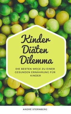 André Sternberg Kinder Diäten Dilemma обложка книги