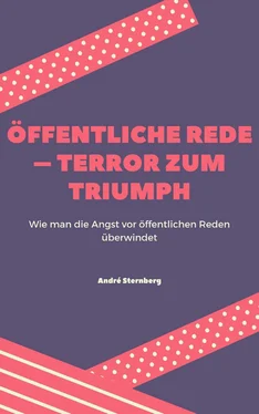 André Sternberg Öffentliche Rede – Terror zum Triumph обложка книги