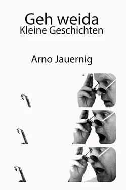 Arno Jauernig Geh weida обложка книги