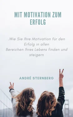 André Sternberg Mit Motivation zum Erfolg обложка книги