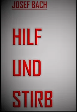 Josef Bach Hilf und Stirb обложка книги
