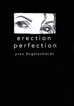 Yves Engelschmidt Erection Perfection обложка книги