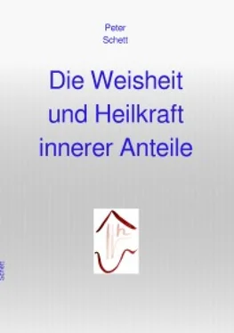 Peter Schett Die Weisheit und Heilkraft innerer Anteile обложка книги