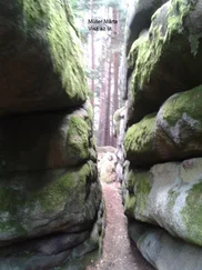 Márta Müller - Visz az út