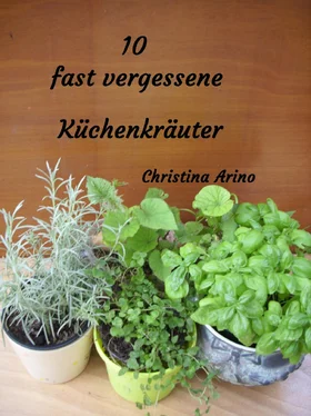 Christina Arino 10 fast vergessene Küchenkräuter обложка книги