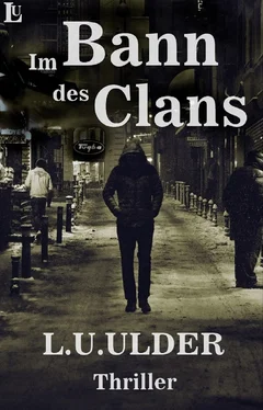 L.U. Ulder Im Bann des Clans обложка книги
