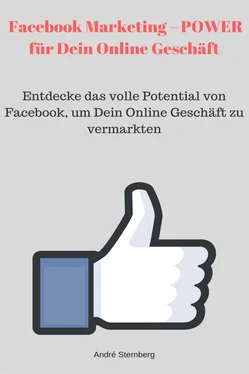 André Sternberg Facebook Marketing – POWER für Dein Online Geschäft обложка книги