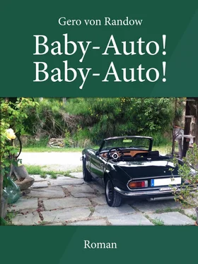 Gero von Randow Baby-Auto! Baby-Auto! обложка книги