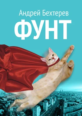 Андрей Бехтерев Фунт обложка книги